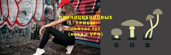 ECSTASY Протвино