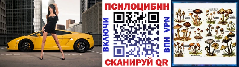 Галлюциногенные грибы прущие грибы  как найти наркотики  Нижняя Тура 